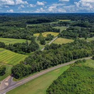 Photo #14 of NC Highway 150, Reidsville, NC 66.0 acres