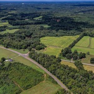 Photo #15 of NC Highway 150, Reidsville, NC 66.0 acres