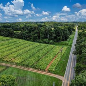 Photo #4 of NC Highway 150, Reidsville, NC 66.0 acres