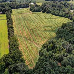 Photo #8 of NC Highway 150, Reidsville, NC 66.0 acres