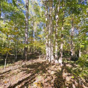 Photo #17 of 613 Barker, Reidsville, NC 10.3 acres