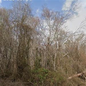 Photo #2 of Pine Tree, Salisbury, NC 1.9 acres