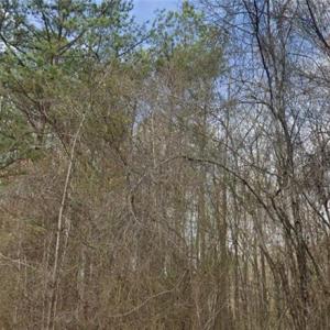 Photo #1 of Pine Tree, Salisbury, NC 1.9 acres