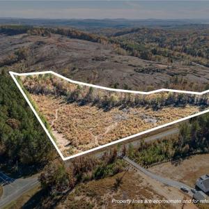 Photo #1 of 1095 Alleghany Church, Denton, NC 8.1 acres