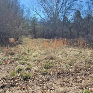 Photo #1 of 5424 Wild Turkey, Whitsett, NC 3.5 acres