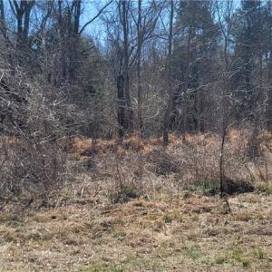 Photo #2 of 5424 Wild Turkey, Whitsett, NC 3.5 acres