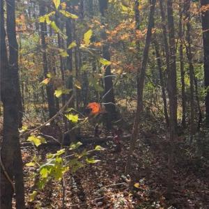 Photo #1 of Snuggs Park, Albemarle, NC 5.0 acres