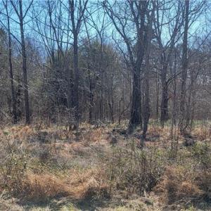 Photo #3 of 5430 Wild Turkey, Whitsett, NC 8.7 acres