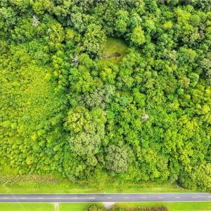 Photo #10 of 5430 Wild Turkey, Whitsett, NC 8.7 acres