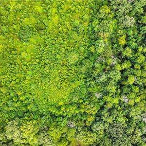 Photo #14 of 5430 Wild Turkey, Whitsett, NC 8.7 acres