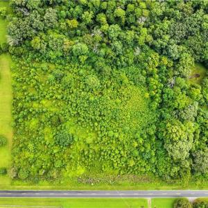 Photo #18 of 5430 Wild Turkey, Whitsett, NC 8.7 acres