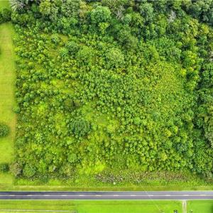 Photo #11 of 5430 Wild Turkey, Whitsett, NC 8.7 acres