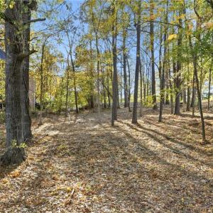 Photo #3 of 301 Bing Crosby, Advance, NC 0.2 acres