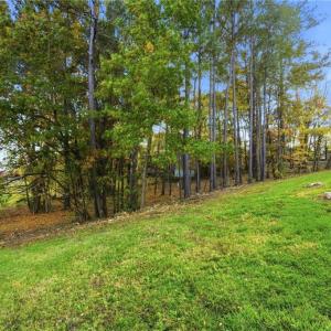 Photo #9 of 301 Bing Crosby, Advance, NC 0.2 acres