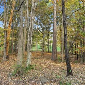 Photo #4 of 301 Bing Crosby, Advance, NC 0.2 acres