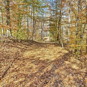 Photo #48 of 960 Riverview, Spencer, VA 10.3 acres