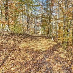 Photo #48 of 960 Riverview, Spencer, VA 10.3 acres