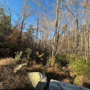 Photo #6 of 999 White Cross, Chapel Hill, NC 13.8 acres