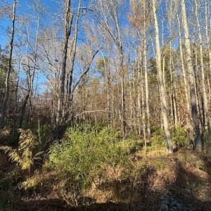 Photo #7 of 999 White Cross, Chapel Hill, NC 13.8 acres