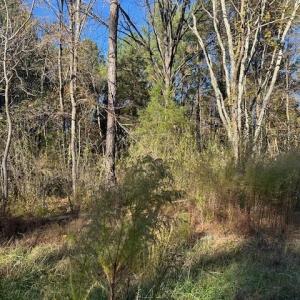 Photo #3 of 999 White Cross, Chapel Hill, NC 13.8 acres