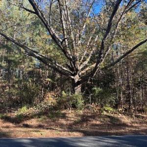 Photo #1 of 999 White Cross, Chapel Hill, NC 13.8 acres