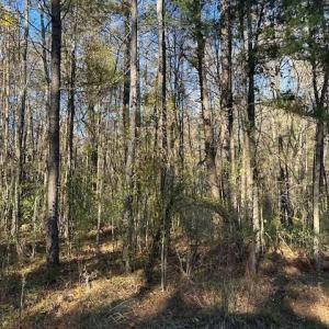 Photo #4 of 999 White Cross, Chapel Hill, NC 13.8 acres