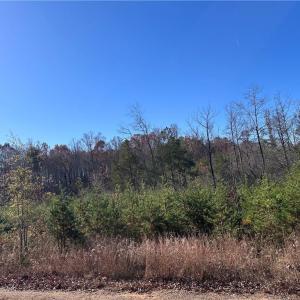 Photo #2 of 5 Stephens Trail, Sandy Ridge, NC 10.4 acres
