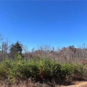 Photo #3 of 5 Stephens Trail, Sandy Ridge, NC 10.4 acres