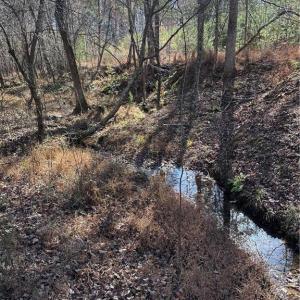 Photo #1 of 5 Stephens Trail, Sandy Ridge, NC 10.4 acres