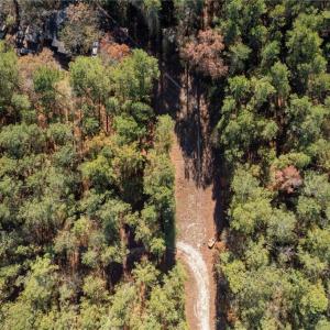 Photo #7 of Brookside, West End, NC 3.5 acres