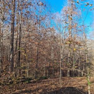 Photo #3 of 6819 Long Meadow, Whitsett, NC 12.7 acres