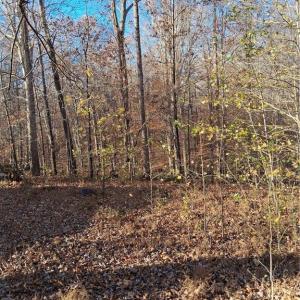 Photo #5 of 6819 Long Meadow, Whitsett, NC 12.7 acres