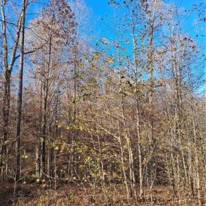 Photo #4 of 6819 Long Meadow, Whitsett, NC 12.7 acres