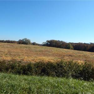Photo #6 of Carriker, Albemarle, NC 28.7 acres