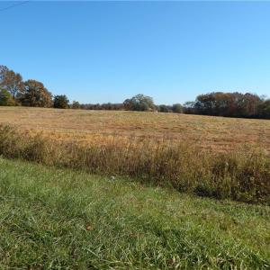 Photo #7 of Carriker, Albemarle, NC 28.7 acres
