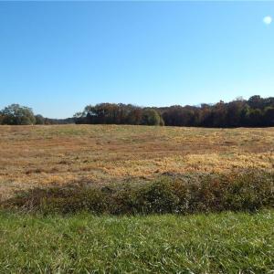 Photo #5 of Carriker, Albemarle, NC 28.7 acres