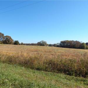 Photo #10 of Carriker, Albemarle, NC 28.7 acres
