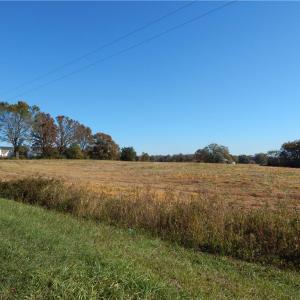 Photo #8 of Carriker, Albemarle, NC 28.7 acres