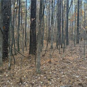 Photo #6 of 19.6 acres Willie, Seagrove, NC 19.6 acres