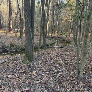 Photo #13 of 19.6 acres Willie, Seagrove, NC 19.6 acres