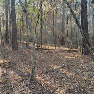 Photo #16 of 19.6 acres Willie, Seagrove, NC 19.6 acres