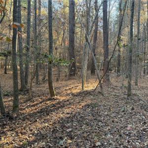 Photo #12 of 19.6 acres Willie, Seagrove, NC 19.6 acres