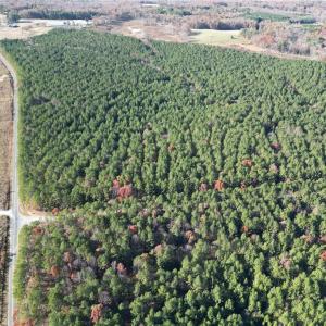 Photo #22 of 19.6 acres Willie, Seagrove, NC 19.6 acres