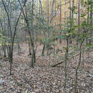 Photo #7 of 19.6 acres Willie, Seagrove, NC 19.6 acres