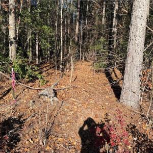 Photo #3 of 19.6 acres Willie, Seagrove, NC 19.6 acres