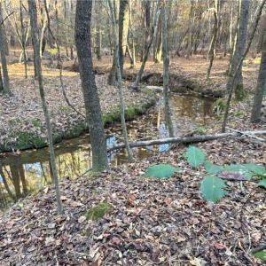 Photo #1 of 19.6 acres Willie, Seagrove, NC 19.6 acres