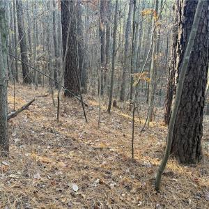 Photo #5 of 19.6 acres Willie, Seagrove, NC 19.6 acres