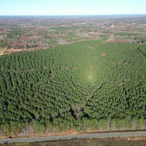 Photo #20 of 19.6 acres Willie, Seagrove, NC 19.6 acres