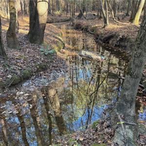 Photo #9 of 19.6 acres Willie, Seagrove, NC 19.6 acres