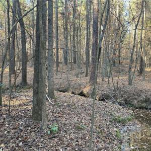 Photo #10 of 19.6 acres Willie, Seagrove, NC 19.6 acres